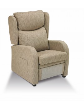 Sillon Reclinable con Incorporación