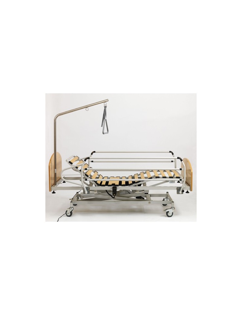 Carro elevador completo Sanitex + regalo portes