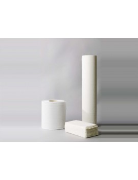 PAPEL SECA MANOS 6 unidades