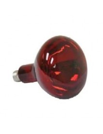 RECAMBIO BOMBILLA  INFRARROJOS