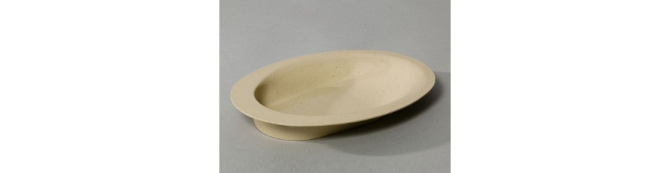 Platos Adaptados para Efermos